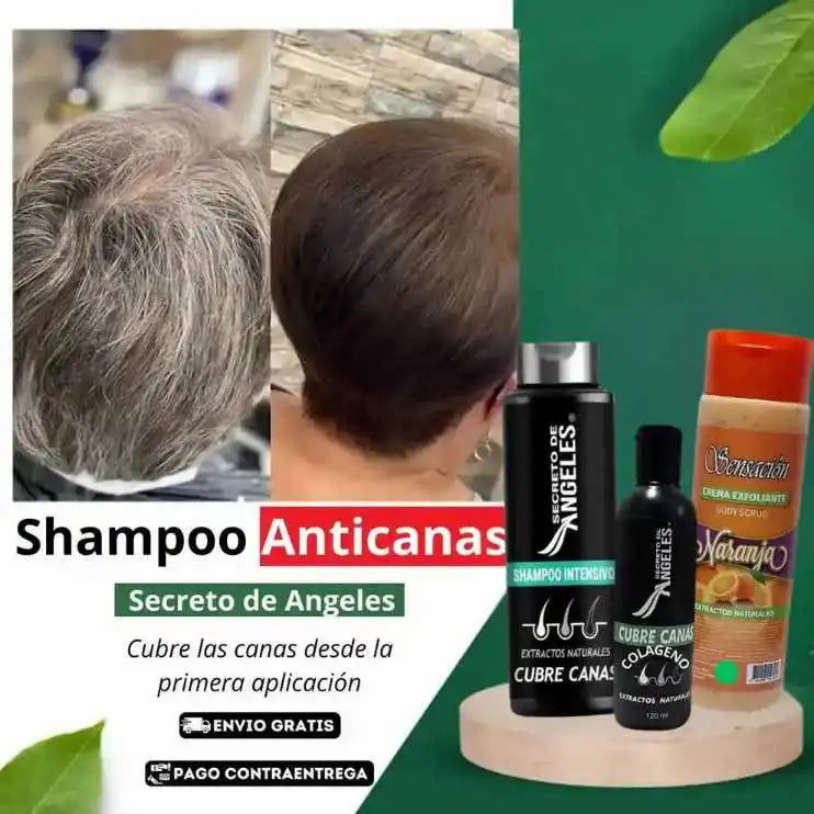 Shampoo Cubre Canas Secreto de Ángeles, Colageno y Exfoliante