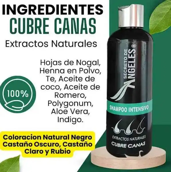 Shampoo Cubre Canas Secreto de Ángeles, Colageno y Exfoliante