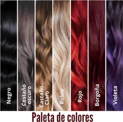 Shampoo Chao Canas + Tratamiento